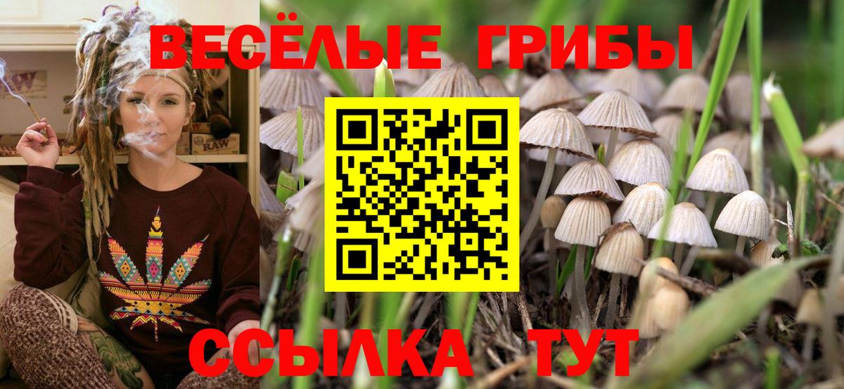 Галлюциногенные грибы ЛСД  Вход с VPN  Ноябрьск 