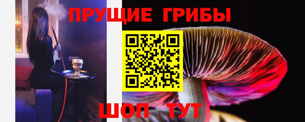 Галлюциногенные грибы Cubensis Ноябрьск